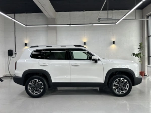 Haval Dargo